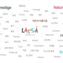 라싸디벨로프먼트(주)