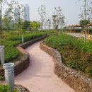 호수공원 추가 이미지