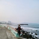 현대중공업일산문 | 강같은 평화가 흐른다 – 새해에 다시 걷는 해파랑길 9코스｜울산의 바다, 공업, 자연이 어우러진 감성...