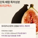 트리메디 | 탈모샴푸 트리코닉스 이시언샴푸 솔직후기 효과 있을까?