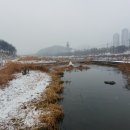 25-2/12-수 함바식당-아침밥 안양천석수동-산책 안양천-생태이야기관 김영진/홍성창-전주전집 부산집-홍어회 이미지