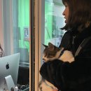 올망똘망스튜디오 네이버블로그