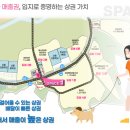 신동-40 이미지