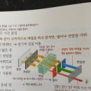 통합과학ㅡ신소재에서 액정요 이미지