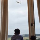 박스호텔 | 인천 파라다이스시티 호텔 둘째날 후기 (원더박스-서커스, 가면 무도회 꿀팁)