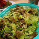 금산식당 이미지