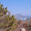 이름 하나는 거창한 섬, 장도를 돌아보고! - 여수시 안심산(347.9)~무선산(216.7) 산행후 장도 한바퀴~ 이미지