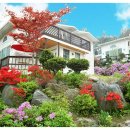 가평파인힐펜션 이미지