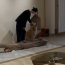 묵호 | 묵호 당일치기 여행 후기