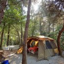 호수산장 관광농원 이미지