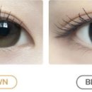 다비치안경 호성점 이미지