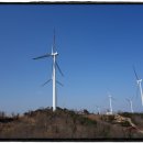 불루민박 | 1박2일 영덕여행