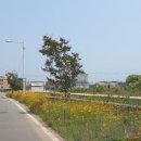 영흥면 공공도서관 | 영흥수협공판장, 꾸지나무, 영흥면사무소, 영흥에너지파크 스케치