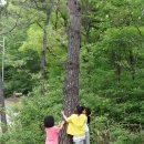 용봉산자연휴양림 이미지