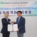 인삼월드