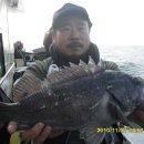 갈매기1호 이미지