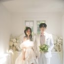 미모아애견 이미지