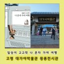 P-7103 | 고령 대가야박물관 왕릉전시관 후기, 책 &#39;일상이 고고학 나혼자 가야여행&#39;