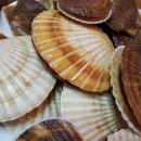 대하농장 이미지