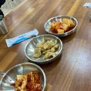 대포칼제비 이미지