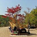 아들 친구 가족과 함께 원주 장터 추어탕 캠핑장에서 들살이 하고 왔습니다. (17.04.28~30)