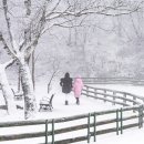 대기목장 이미지