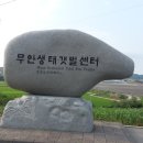 도리포유원지 Daum카페