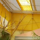 우포 잠자리 나라 이미지