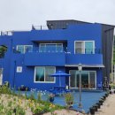 풀꽃마중 이미지