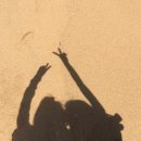 청호동 방파제 이미지