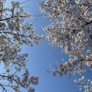 봄바람 때문인지 자꾸만 붕붕 뜨던 3월 기록🌸