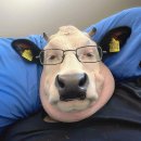 구표여자경로당 | 여자 혼자 싱가포르 여행 2박 3일 다녀온 후기 zip