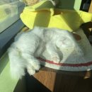 요술곰 동물원 이미지