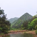 유성기원 이미지