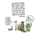 믿음이네