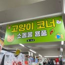 [ 진주 ] 반려동물 애견용품점 &#34; 펫마트 &#34; 진주 시청점 방문 후기