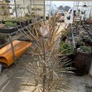 이형성농가 이미지