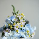 꽃으로 힐링하는 플라워 클래스 이미지