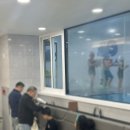 물개키즈스윔 이미지