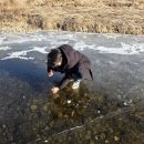 감자수북 이미지