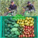 촌부의 단상-산골살이 애환 이미지
