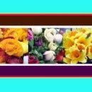 삼봉장례식장 이미지