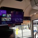 브로카워시 | [제주 2박3일: 2021.3 : 1일차] 대구공항/제주항공/나이스공항주차장/SK렌트카/곽지해수욕장/아기해녀의...