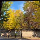 향도여관 | 정정호 개인전 <신터> 전시 관람 후기 (in 통의동 보안여관)