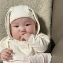 유나이모네 이미지