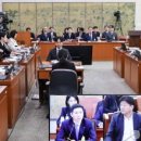 대한펜칵실랏연맹 | 하늘의 별따기.. 대한체육회 회원 자격 ‘인정단체’ 승인률 26.7%