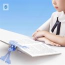 노엘