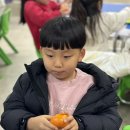 귤꽃푸드 Daum카페