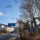 북문 상102호(비31호) | 안양 가성비 좋은 농수산물 시장 #킹크랩 고르는 꿀팁 #농수산물 초장집