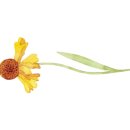 군산아리울초등학교 이미지